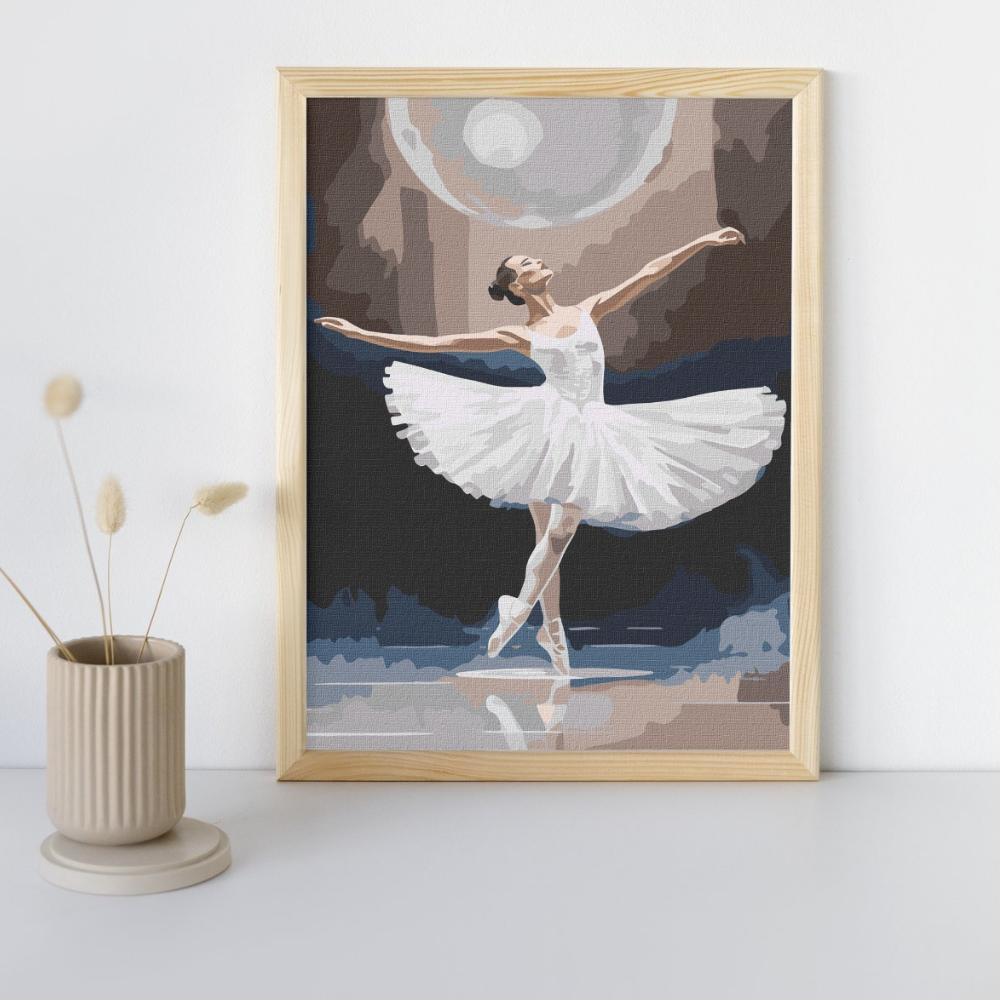 Malowanie Po Numerach Z Ramą Obrazy Do Malowania - Biały Łabędź 40X50 Cm