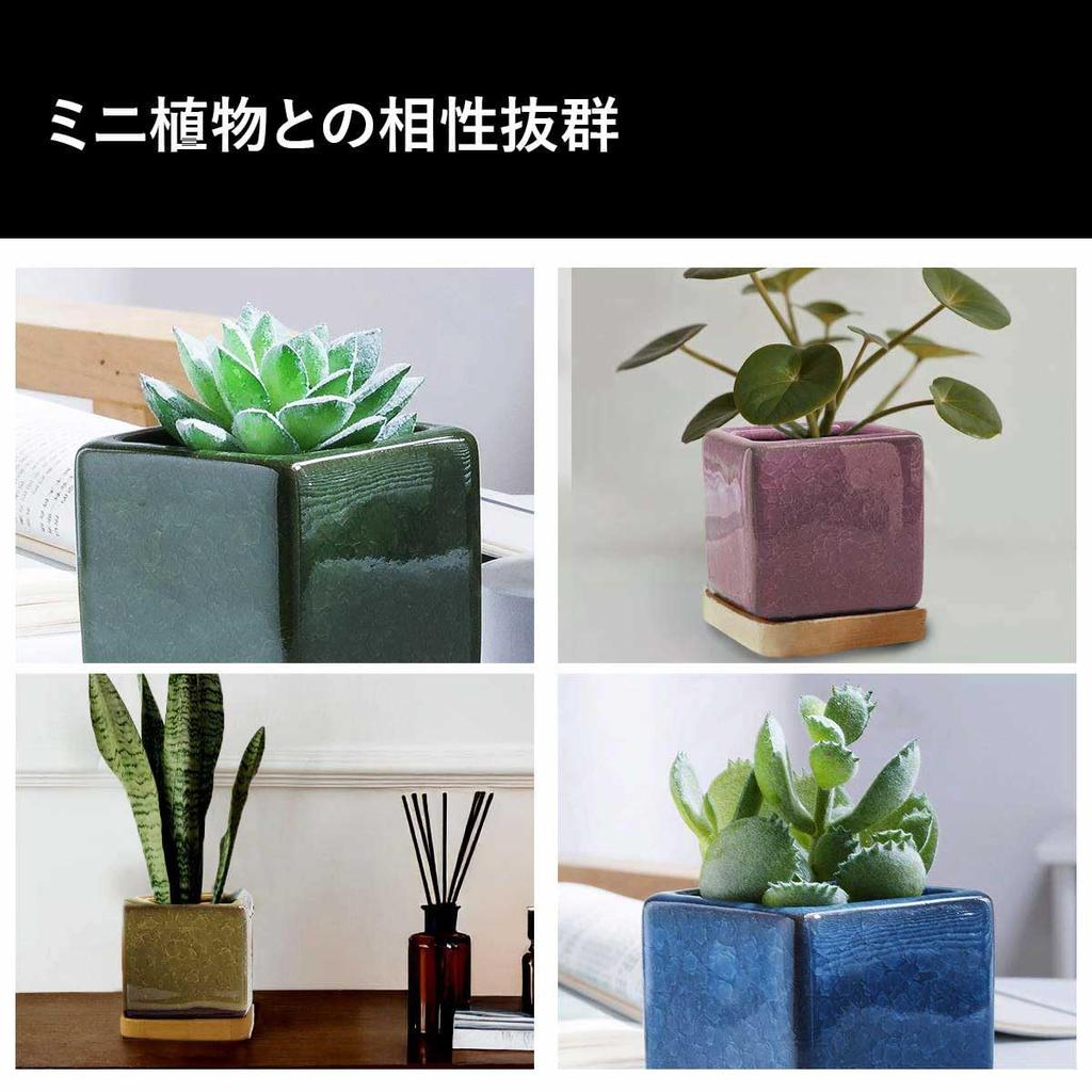 Iikuru Stilig sukkulentplante keramikkpotter for stueplanter sett,