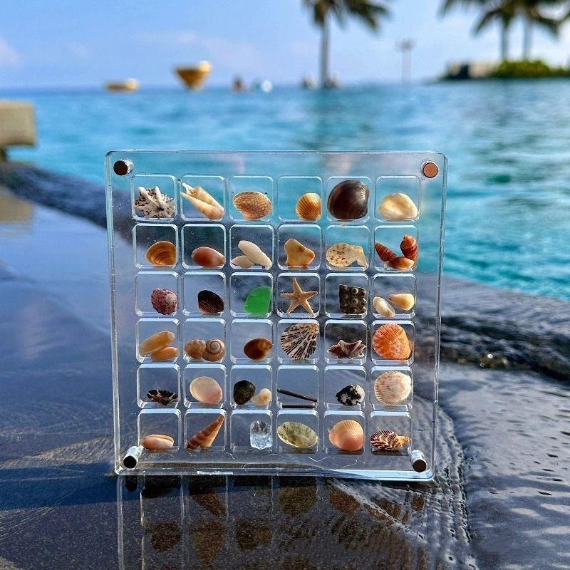36grids Magnetic Shell Display Box Acrylic Specimen Storage Case Starfish Seaside Stone Container Suitable for Daily Collection