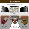 Media Cover Market Doshisha RAPHAIE RL220FSS 21.5-inch Magnetic Privacy Filter, Compatible, Blue Light Blocking, Privacy Film, Monitor