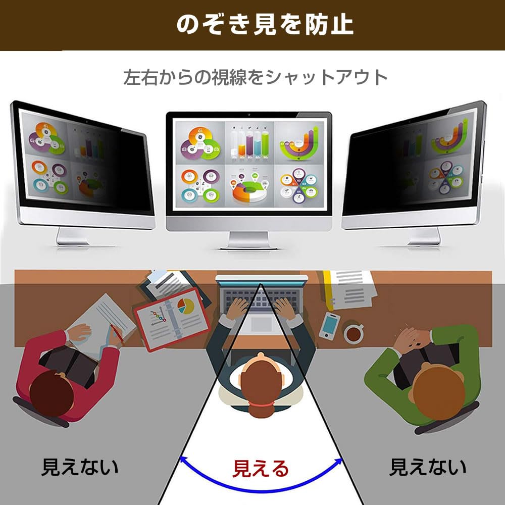 Media Cover Market Doshisha RAPHAIE RL220FSS 21.5-inch Magnetic Privacy Filter, Compatible, Blue Light Blocking, Privacy Film, Monitor