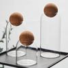 Hand-Blown Lead-Free High Borosilicate Glass Round Flower Tea  Storage Transparent Container Glass Jars with  Cork Stopper Lids