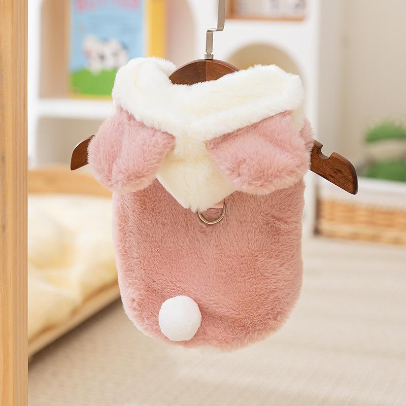 Autumn and winter ins wind dog clothes cute bear two-legged fleece thickened warm winter teddy pet clothes