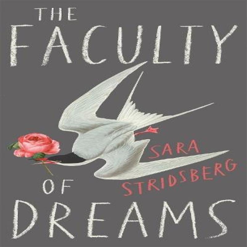 The Faculty of Dreams by Sara Stridsberg Paperback Book 9780857054746