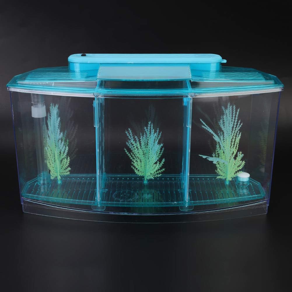 Three Areas Small Aquarium, Transparent Fish Tank, Desktop with Water Change Valve with LED Light for Betta Small Fishes(Blue)