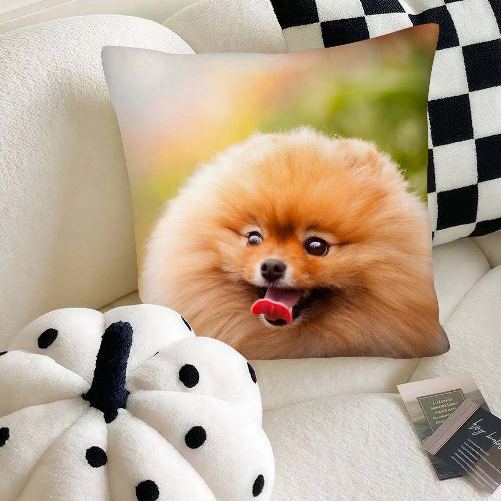 Poszewka na poduszkę dla psa rasy szpic miniaturowy Modna kwadratowa poszewka na poduszkę Sypialnia Sofa Pokój Dekoracja Ins Wypoczynek