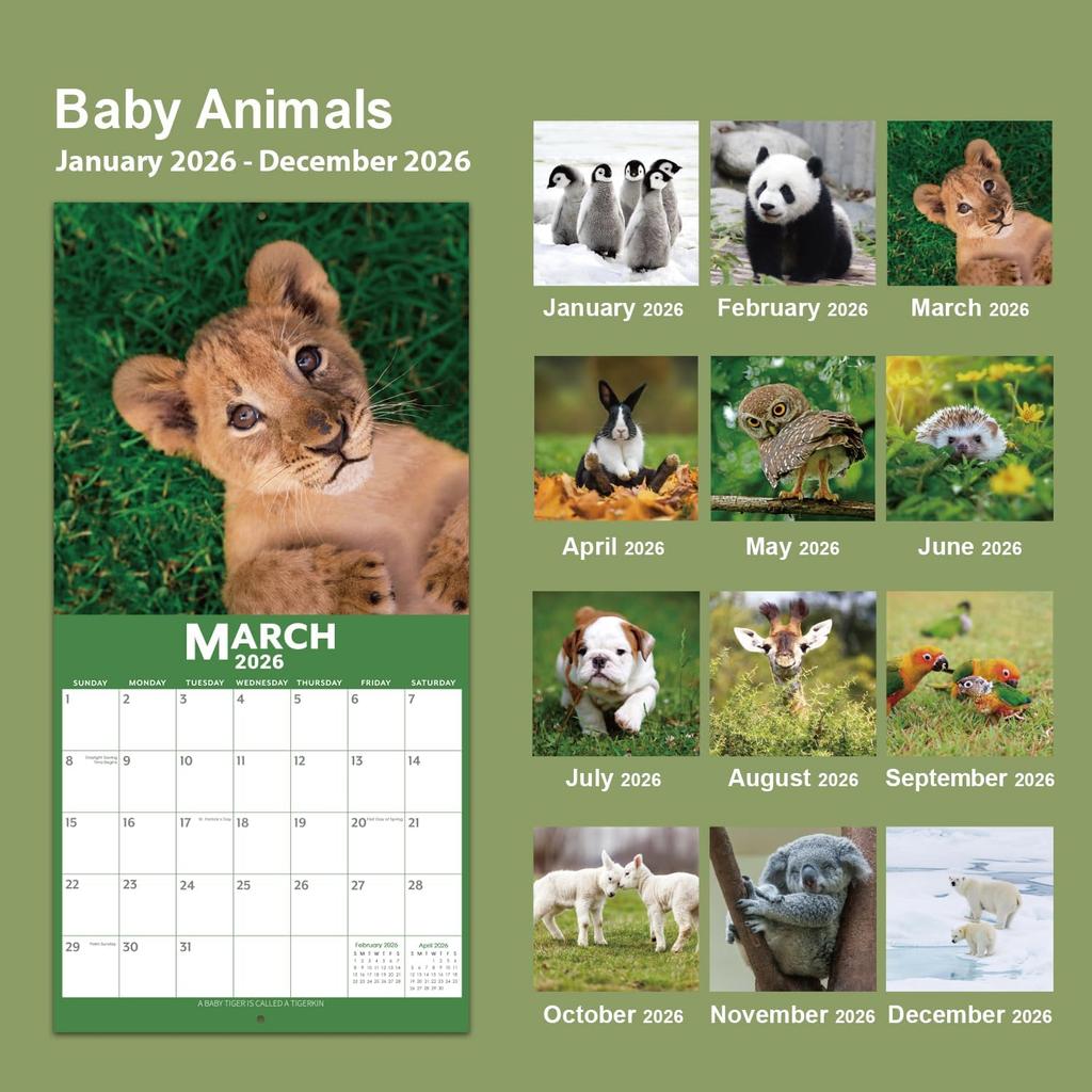 2026 Calendar - 12 Month Baby Animals Wall Calendar 2026 from January 2026 - December 2026, 12 x 12 inches, Thick & Sturdy Paper, 12" x 24" (Open),