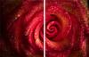 2x GLASS PROTECTIVE PLATE FOR STOVE 40x52 ROSE