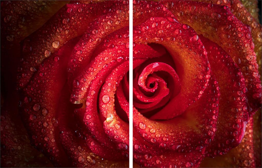 2x GLASS PROTECTIVE PLATE FOR STOVE 40x52 ROSE