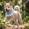 Breathable Dog Harness for Small Dogs No Pull Design Easy Walk Collar Adjustable Fit Leashes