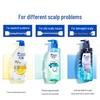 Head & Shoulders Gentle Nourishing Anti-Dandruff Shampoo