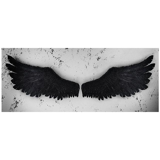 Angel Wings Minimalist Style Wall Art Canvas Painting Creativity Posters Print Black White Feather For Living Room Decor Cuadros