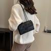 Elegant Fashionable Small Square Crossbody Bag For Women In Black And White With Trendy Street Style