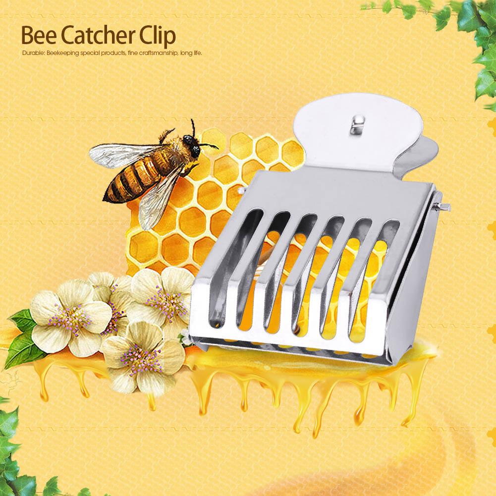Metal Queen Bee Catcher Clip Cage Catching Tool Beekeeping Equipment Steel