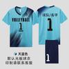 Unisex Volleyball Jersey Set Breathable Quick Dry Team Sport Uniform College Students
