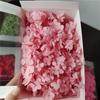 1 Box Colorfast Dried Flowers Exquisite Natural Realistic DIY Hydrangea Heads Wedding Favors