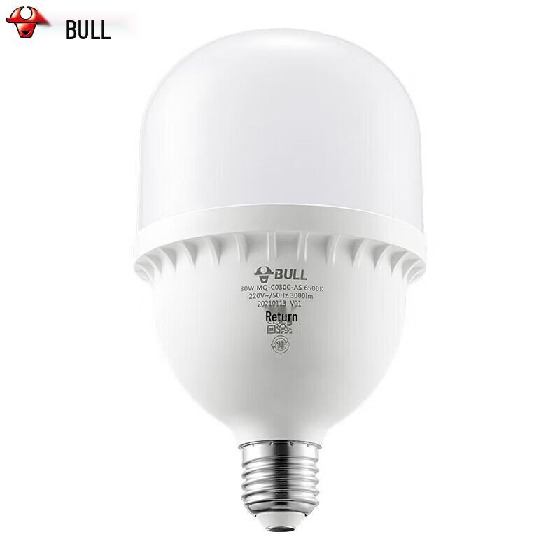 

BULL High-Brightness E27 LED Bulb