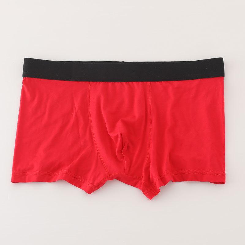 New Men's Breathable Modal Boxer Briefs 50-Pack - Double-Layered, Solid Color, Simple Knit