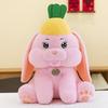 Bunny Plush Toy Cartoon Pineapple Figure Girl Children Birthday Gift Holiday