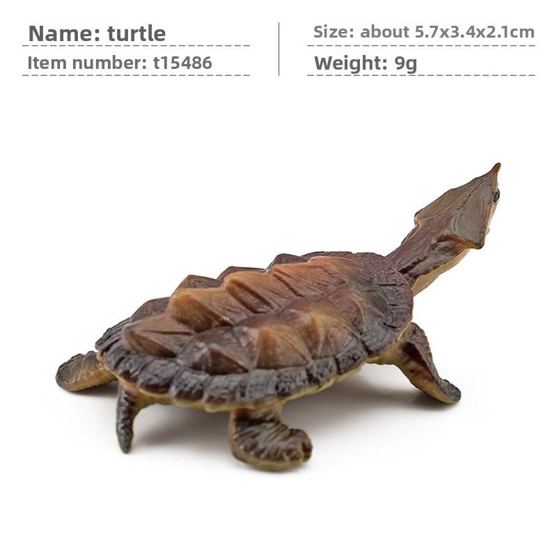 Aquatic Reptile Tortoise Pvc Model Set With Realistic Detailing For Educational Collection