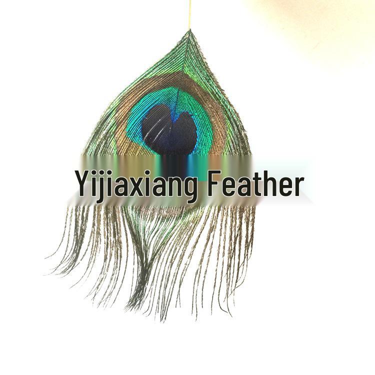 Peacock Feather Corsage Brooch - Popular European  American DIY Fashion Accessory
