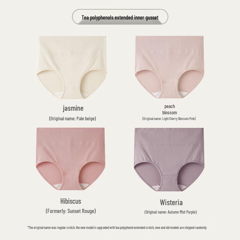 YOUNGYELL Women's High-Waist 10A Antibacterial Cotton Panties (4-Pack)