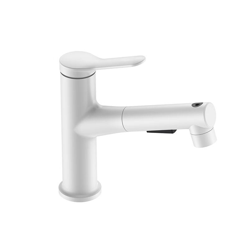 XINGAILAN Pull-Out Basin Faucet