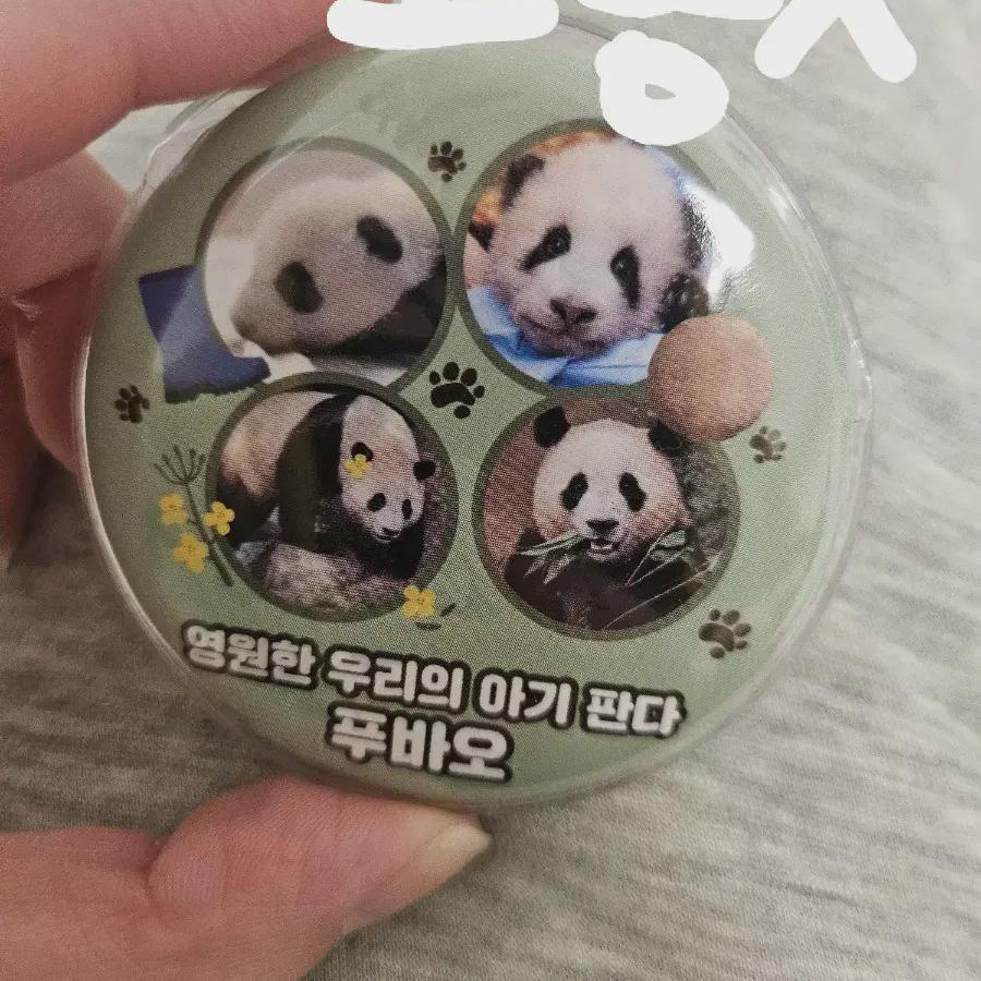 

Fubao Pin Badge