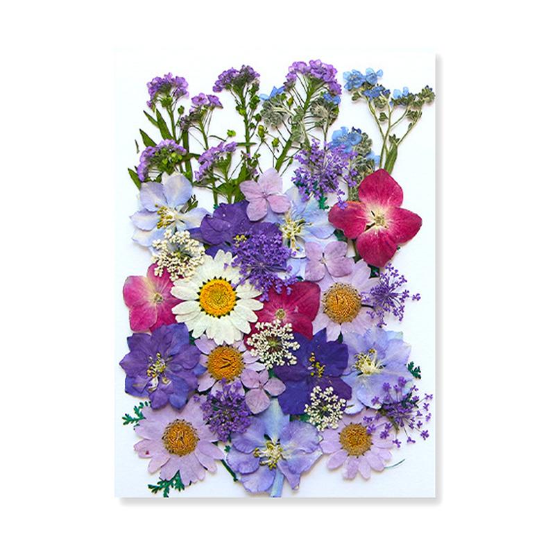 Dried Flowers Real Natural Plant Pressed Flower For Epoxy Resin Filling DIY Keychain Pendant Silicone Mold Jewelry Making Crafts