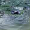 New Transparent Double-Sided Stunt Car Amphibious Four-Wheel Drive Lighting 2.4g Children'S Remote Control Car Toy Car Gift