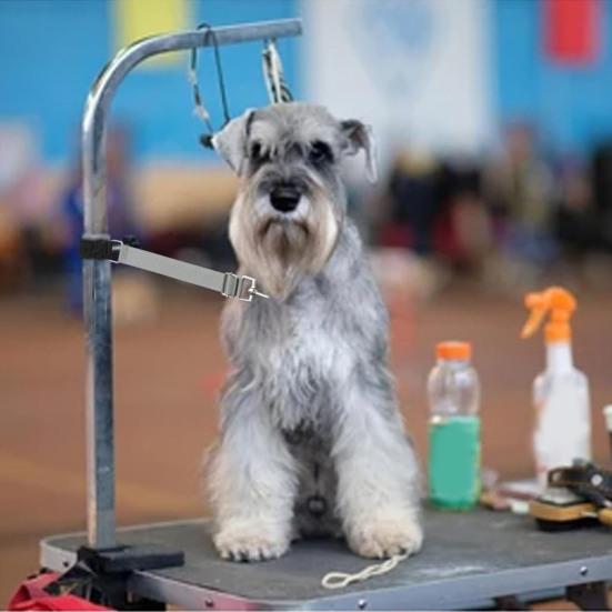Pet Grooming Arm Extension Strap Adjustable Quick Release Dog Grooming Leash Grooming