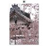 Japan Sakura Fuji Mountain Deer Gebäude Wand Kunst Leinwand Malerei Nordic Poster Und Drucke Wand Bilder Für Wohnzimmer Dekor