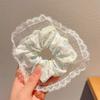Fresh Summer Sweet Lace Bow Hair Tie - Elegant & Stylish Hair Accessory
