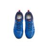 Li Ning Swirl V2 Cushioning Lightweight Slip Resistant Low top Badminton Shoes Unisex Blue AYTP029-1