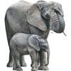 Realistic Elephant Wall Stickers for Bedroom Living Room Nursery Kids Room Home Decor Wall Art Vinyl Decals Peel and Stick Removable