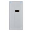 Tiger Fingerprint & Password Filing Cabinet