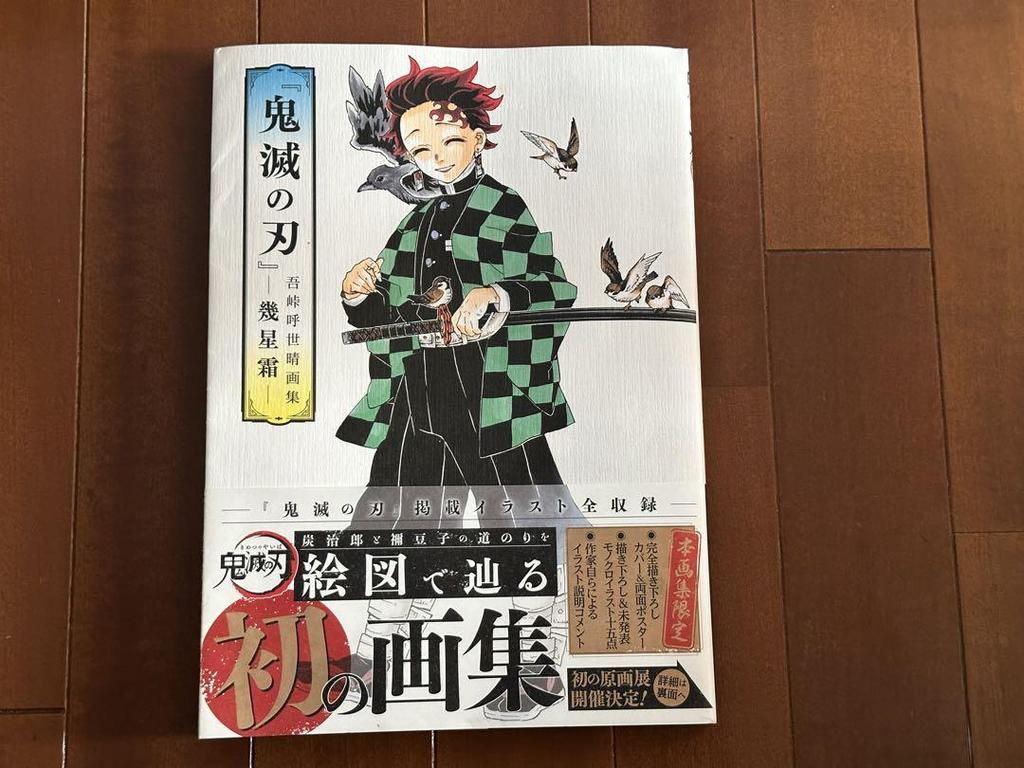 [USED] Demon Slayer: Kimetsu No Yaiba Complete Fan Book Volume Zero Bundle