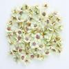 50/100 Stück Mini Gänseblümchen Künstliche Blumenköpfe Seide DIY Bilderrahmen Foto Requisiten Heimdeko Muttertag Hochzeit Dekoration