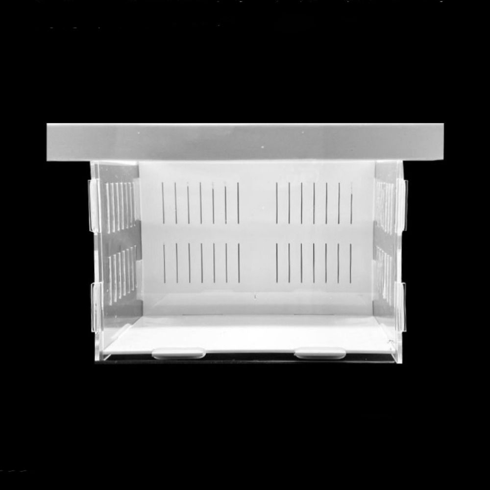 Acrylic Fish Isolation Box Detachable Fish Breeding Tank Floating Hatching Box  for Aquarium