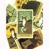 Cats Rule The Earth Tarot Cards A 78 Card Deck Unique Cards For Cat Lovers and Tarot Enthusiasts Cute Cards Game