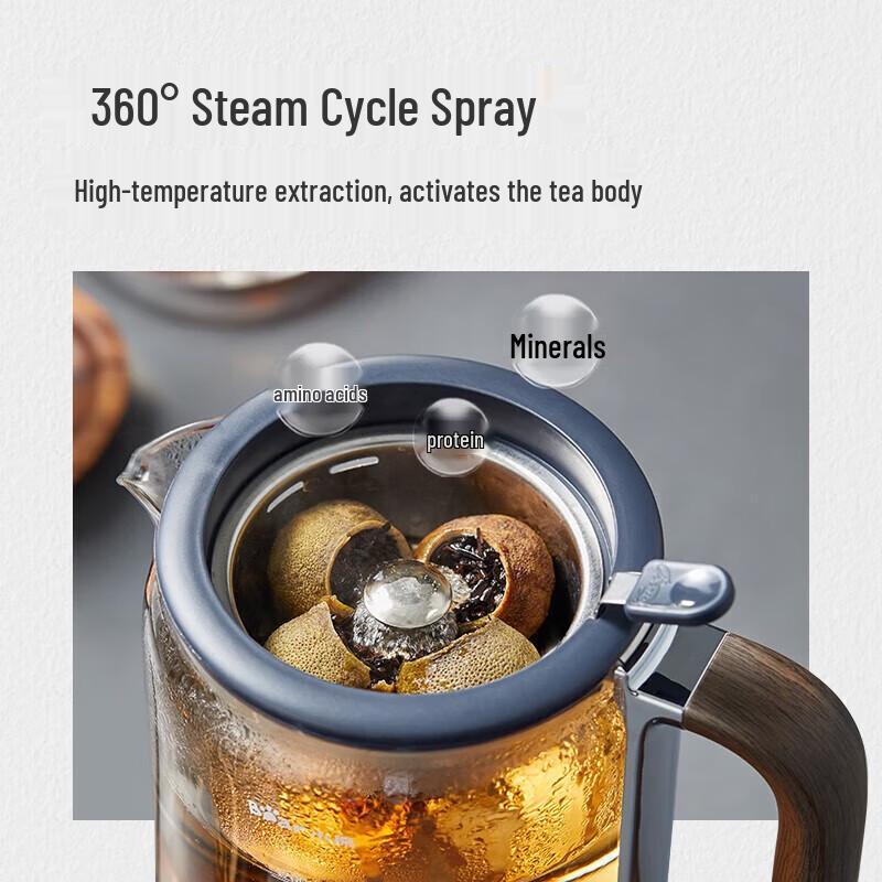 Bear 1.2L Thickened Glass Spray Tea Maker & Health Pot CN plug (adapter included)