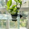 Top Hanging Fish Tank Greenery Holder Screw Clamp/Suction Cup Hydroponic Planting Basket  Aquarium