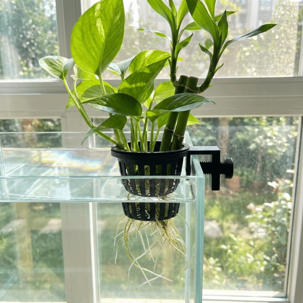 Top Hanging Fish Tank Greenery Holder Screw Clamp/Suction Cup Hydroponic Planting Basket Aquarium
