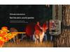 4G Solar-Powered Hunting Camera with HD Infrared Night Vision