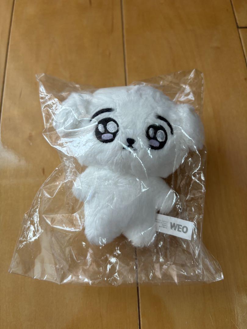 

[Б/У] BTS Чонгук Мастер Плюшевая игрушка 10 см