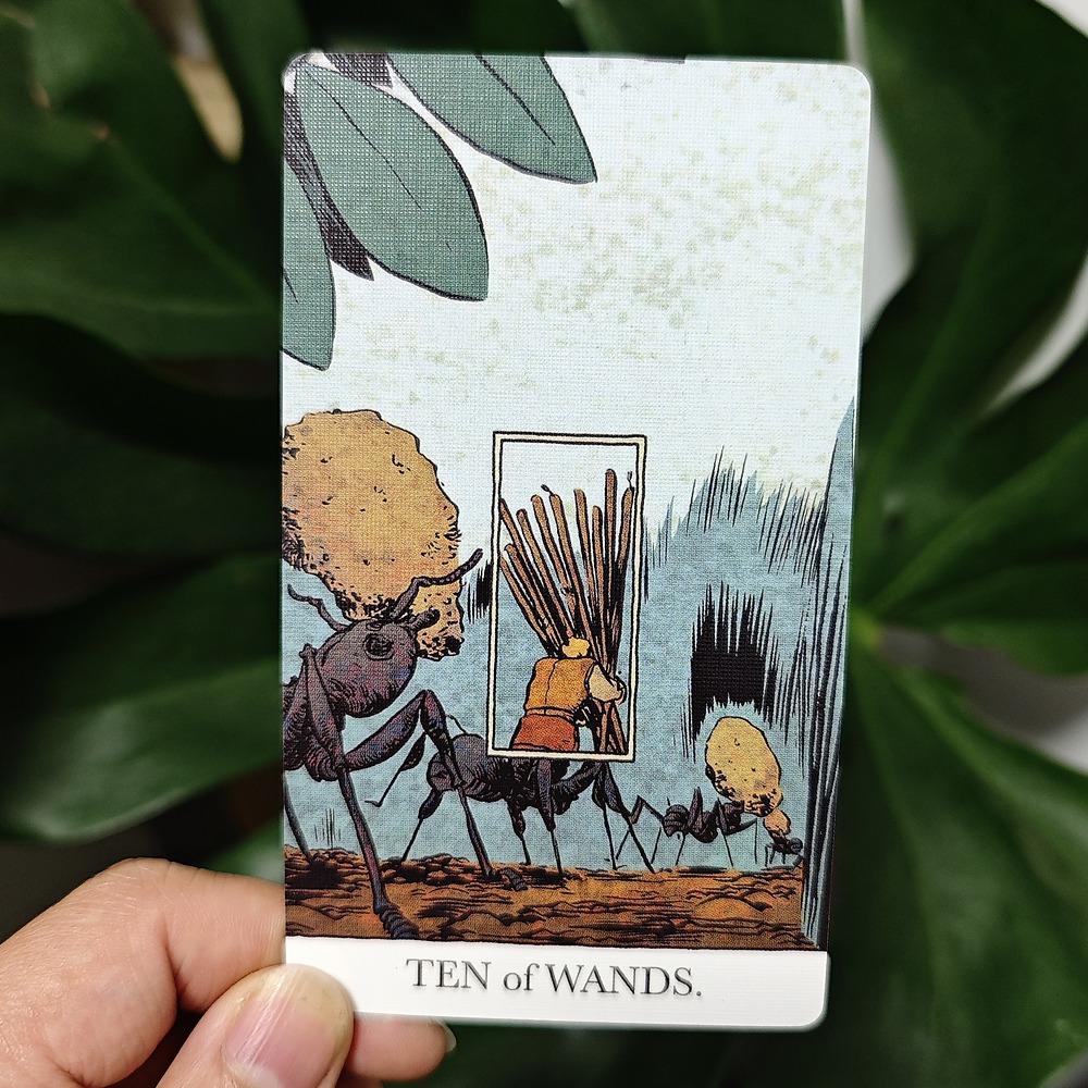 12*7cm Odhalený Tarot 80 ks Tarotových karet (se 2 speciálními kartami) V pevné krabičce potištěné 350GSM dvojitě raženým kartonem