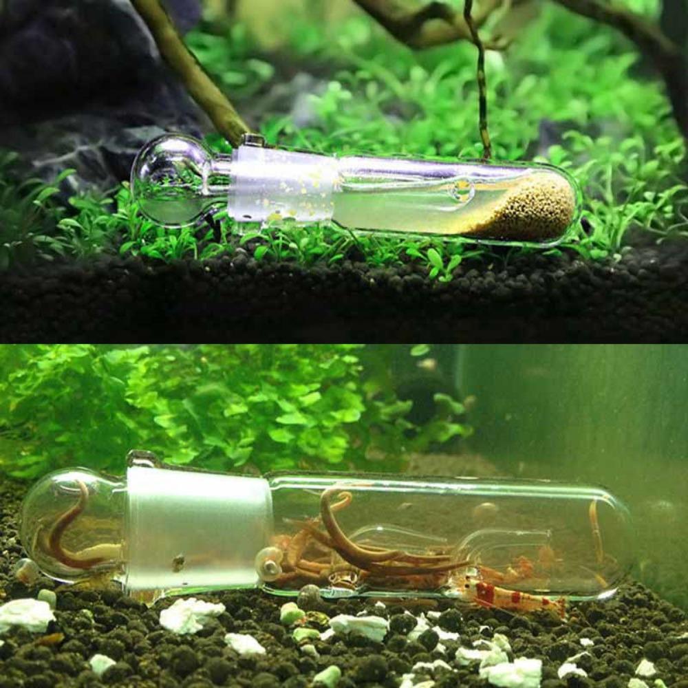 Dwarf Shrimp Clear Aquatic Cleaner Pest Catch Trap Planaria Trap Aquarium Worm Trap Leech Catcher