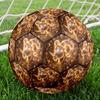 1pc Golden Ram Zodiac Theme Soccer Ball Football, Size 5, Lightweight PVC, Durable Outdoor Training Soccer Ball, Gift m61467