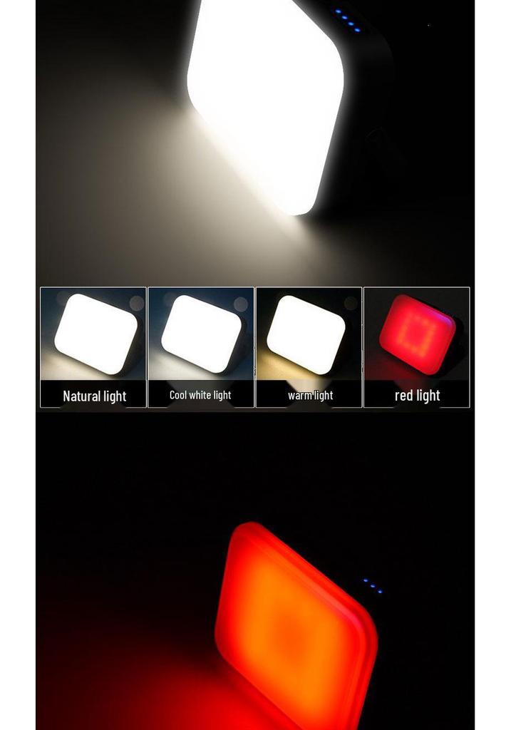 Portable Outdoor Camping and Work Light