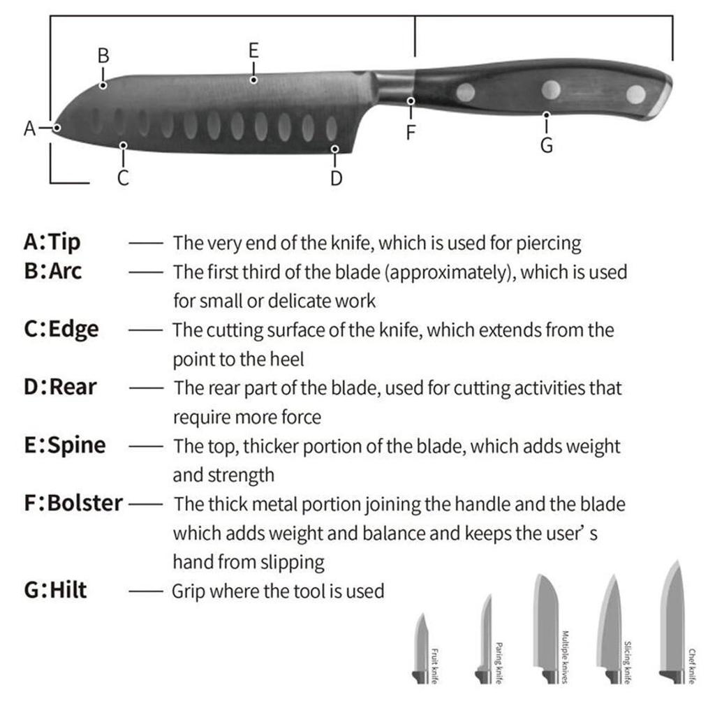 Electric Knife Sharpener Angle 14 Abrasive Knife Sharpener Also for Kitchen and Rust Removal Professional Model for Home Use – 20°/60° Adjustment,